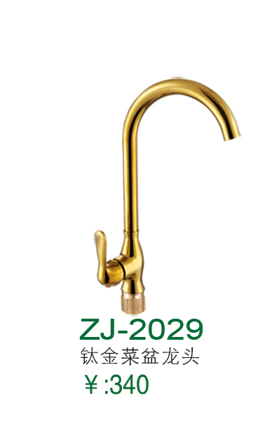 ZJ-2029