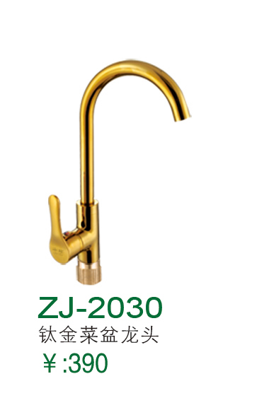 ZJ-2030