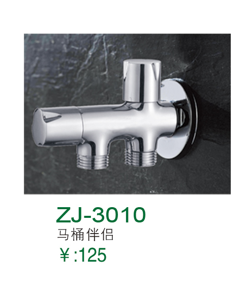 ZJ-3010